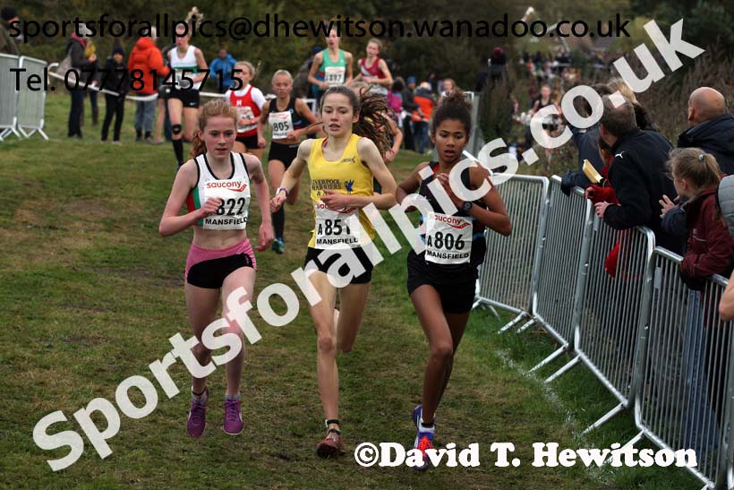 Girls under-15s, 2016 National Cross Country Relays, Berry Hill Park, Mansfield. Photo: David T. Hewitson/Sports for All Pics